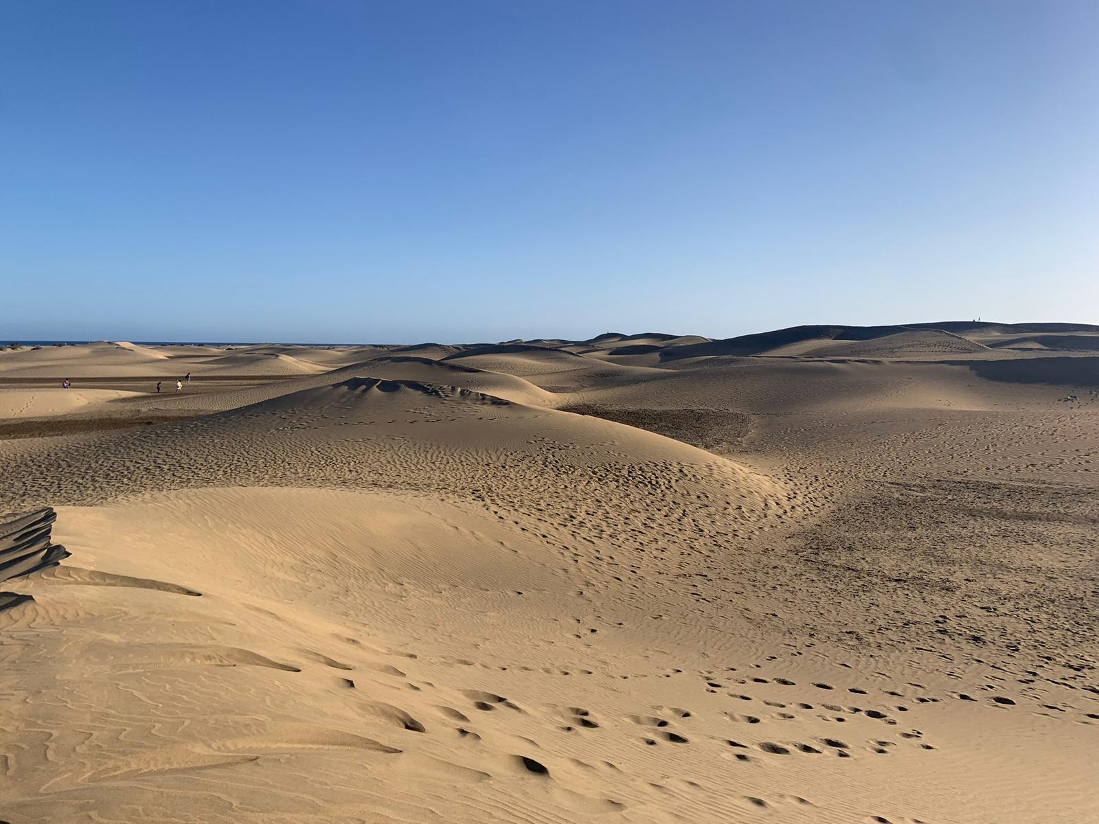 Wide expanse of desert sand dunes